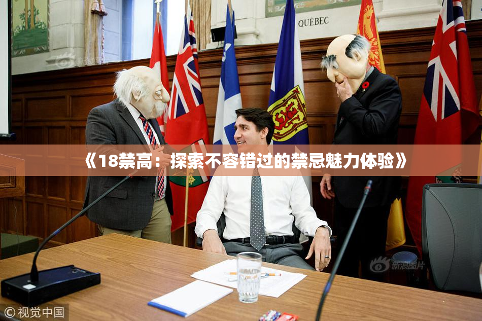 《18禁高：探索不容错过的禁忌魅力体验》