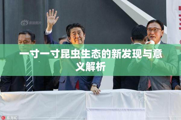 一寸一寸昆虫生态的新发现与意义解析