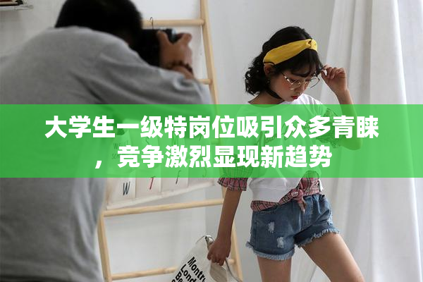 大学生一级特岗位吸引众多青睐，竞争激烈显现新趋势