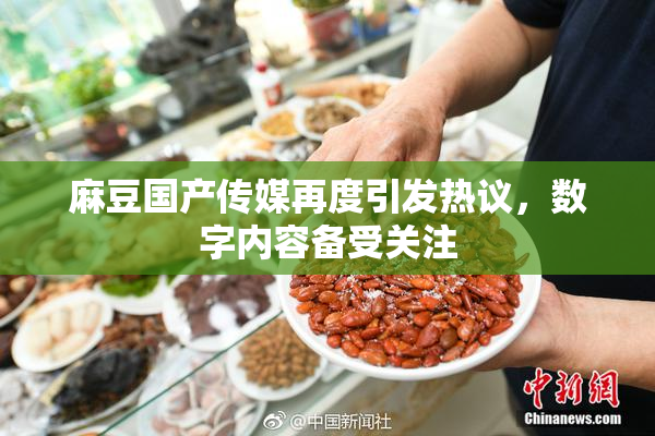 麻豆国产传媒再度引发热议，数字内容备受关注