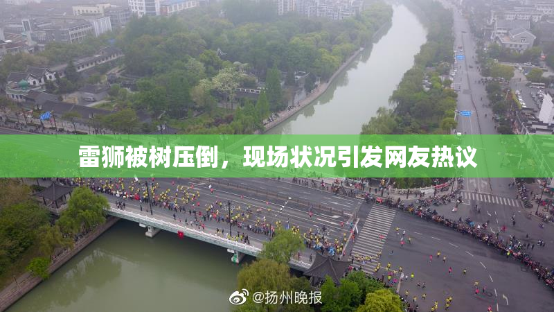 雷狮被树压倒，现场状况引发网友热议