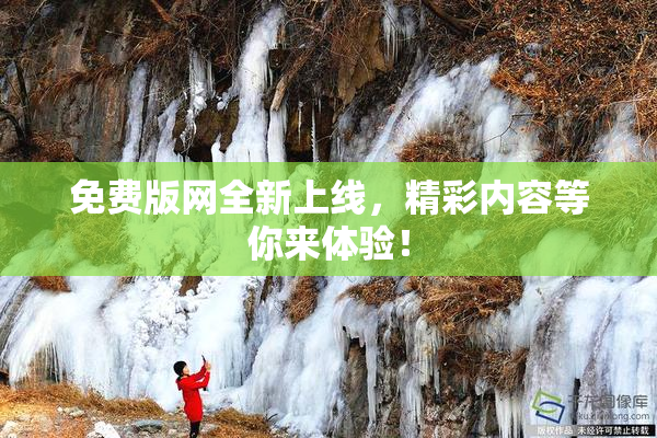 免费版网全新上线，精彩内容等你来体验！