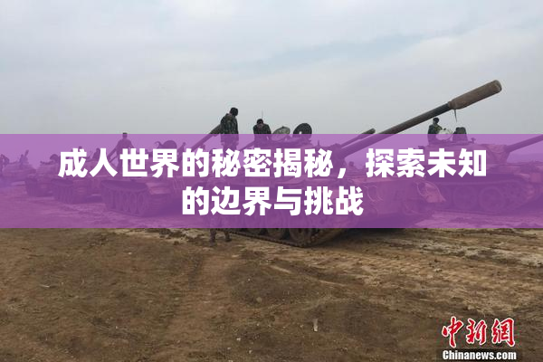 成人世界的秘密揭秘，探索未知的边界与挑战