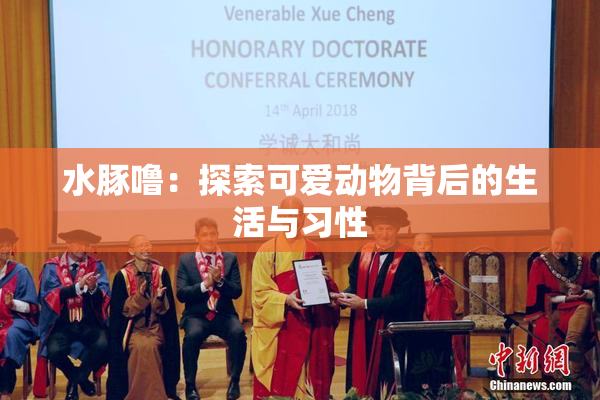 水豚噜：探索可爱动物背后的生活与习性
