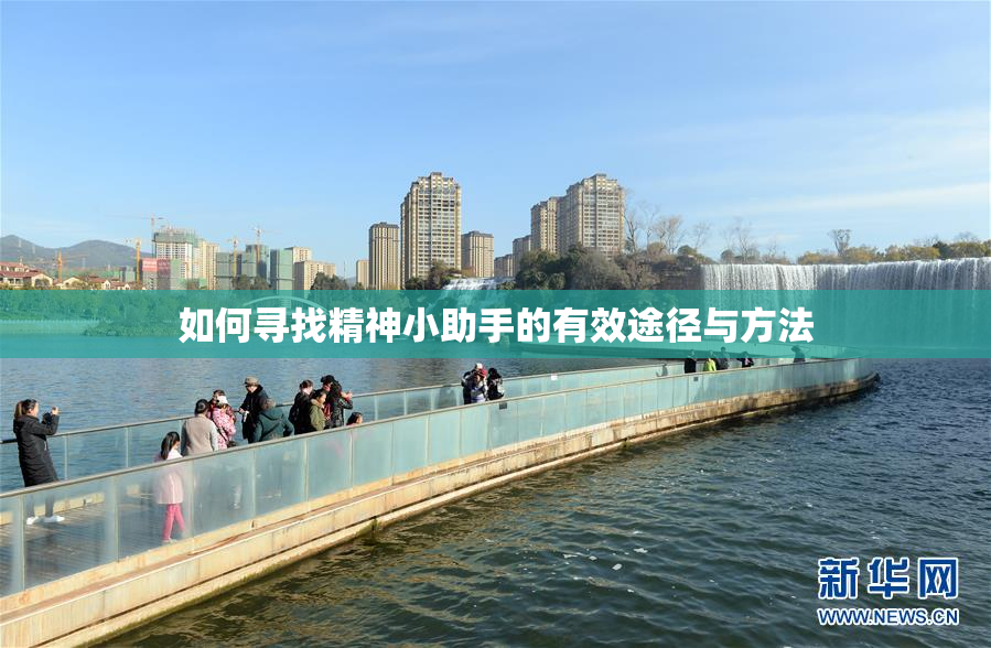 如何寻找精神小助手的有效途径与方法