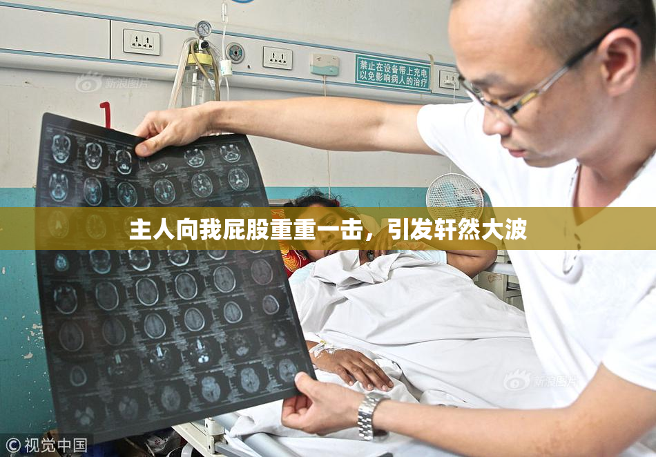 主人向我屁股重重一击，引发轩然大波