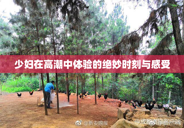 少妇在高潮中体验的绝妙时刻与感受