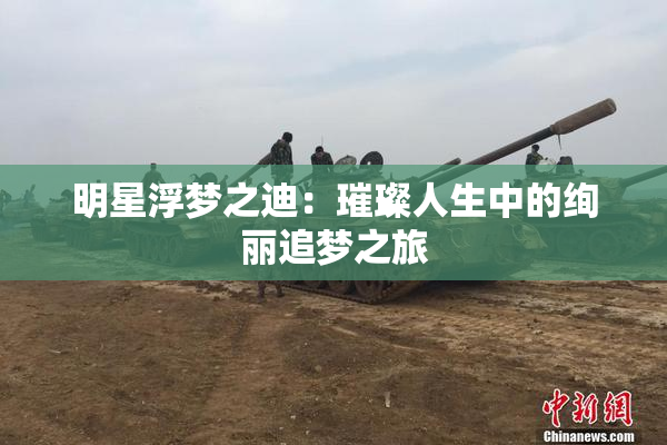 明星浮梦之迪：璀璨人生中的绚丽追梦之旅