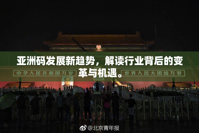 亚洲码发展新趋势，解读行业背后的变革与机遇。