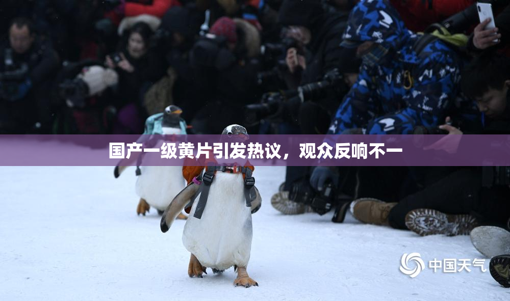 国产一级黄片引发热议，观众反响不一