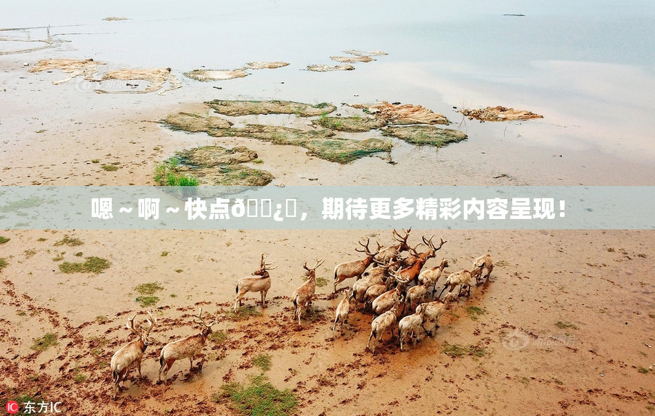 嗯～啊～快点🌿‌，期待更多精彩内容呈现！