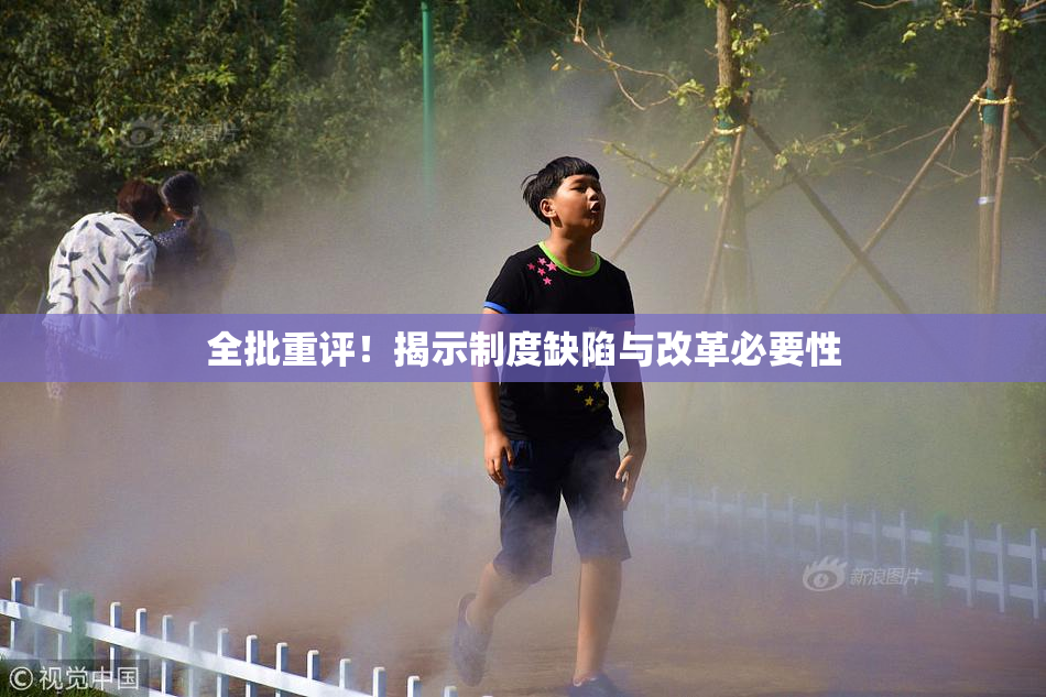全批重评！揭示制度缺陷与改革必要性