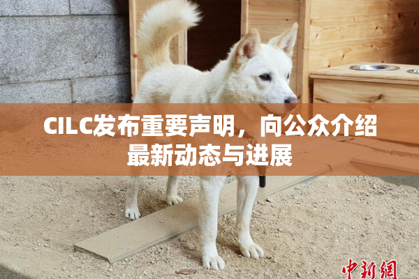 CILC发布重要声明，向公众介绍最新动态与进展