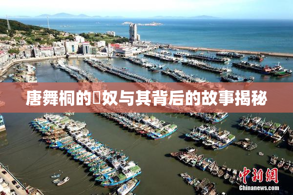 唐舞桐的婬奴与其背后的故事揭秘