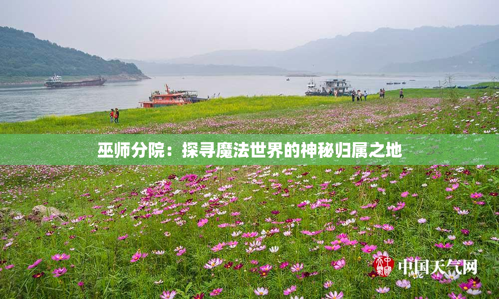 巫师分院：探寻魔法世界的神秘归属之地
