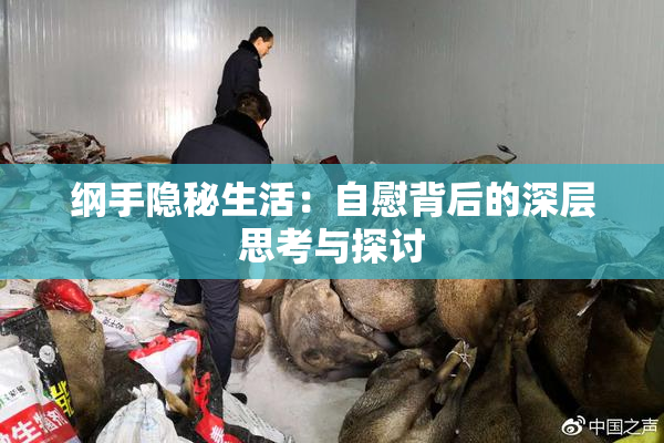纲手隐秘生活：自慰背后的深层思考与探讨