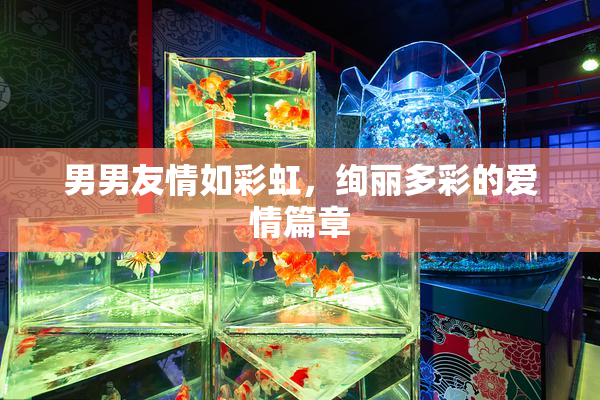 男男友情如彩虹，绚丽多彩的爱情篇章