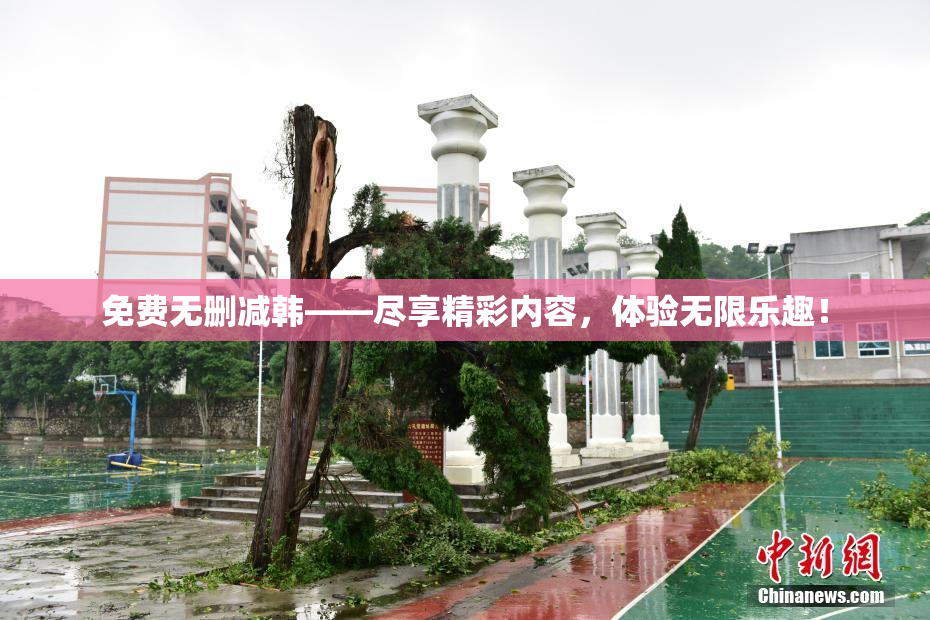 免费无删减韩——尽享精彩内容，体验无限乐趣！