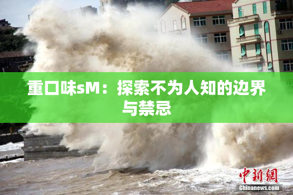 重口味sM：探索不为人知的边界与禁忌