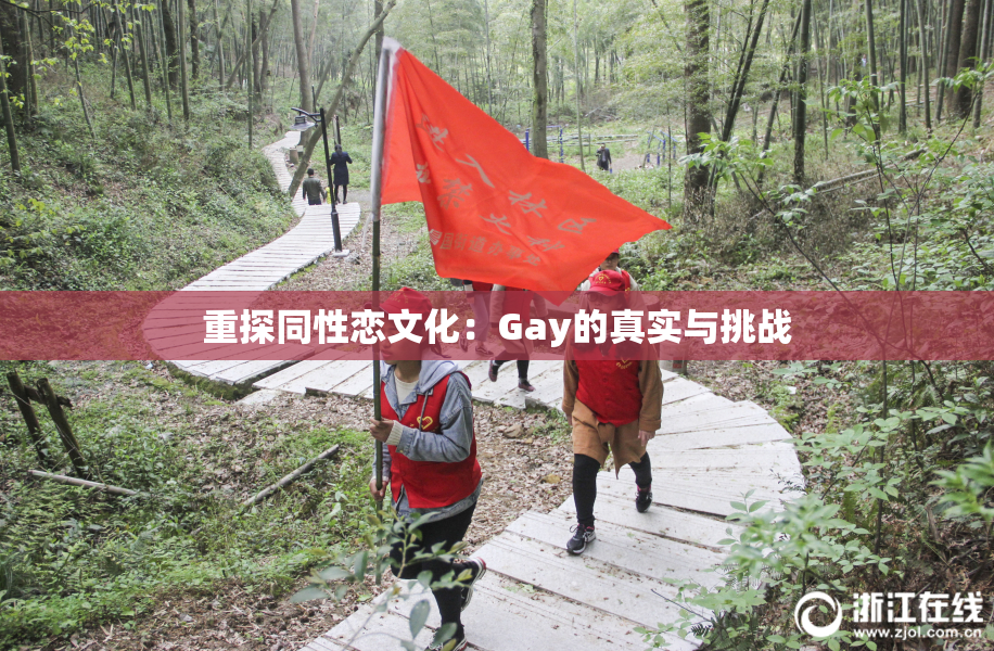 重探同性恋文化：Gay的真实与挑战
