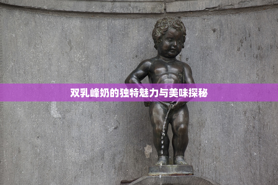 双乳峰奶的独特魅力与美味探秘