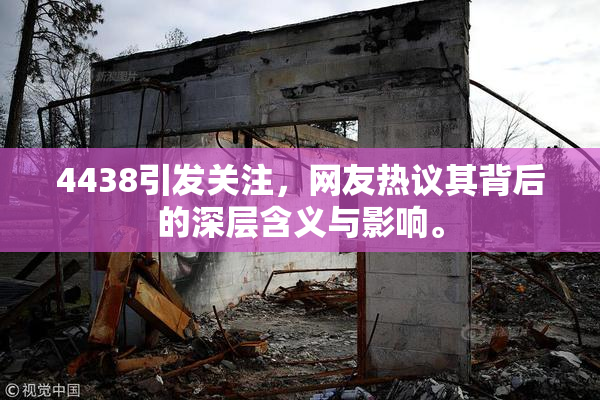 4438引发关注，网友热议其背后的深层含义与影响。