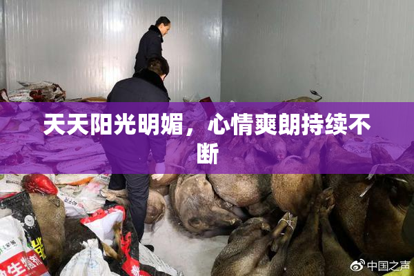 天天阳光明媚，心情爽朗持续不断