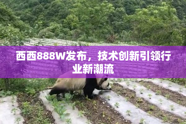 西西888W发布，技术创新引领行业新潮流