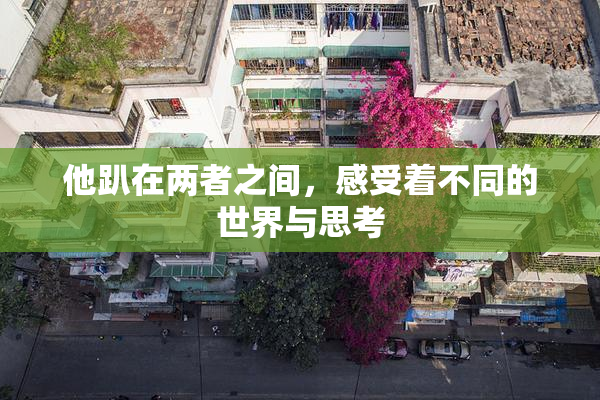 他趴在两者之间，感受着不同的世界与思考