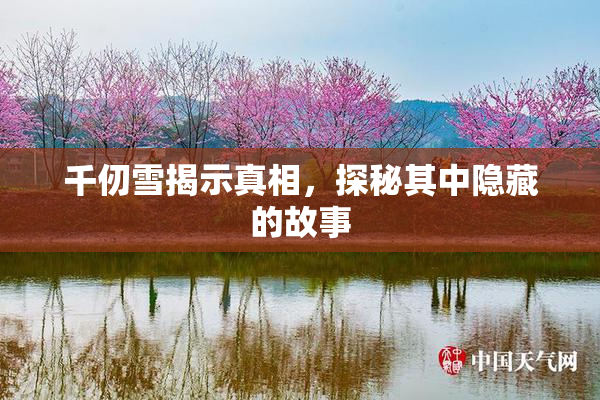 千仞雪揭示真相，探秘其中隐藏的故事