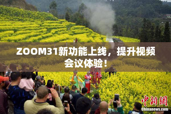 ZOOM31新功能上线，提升视频会议体验！