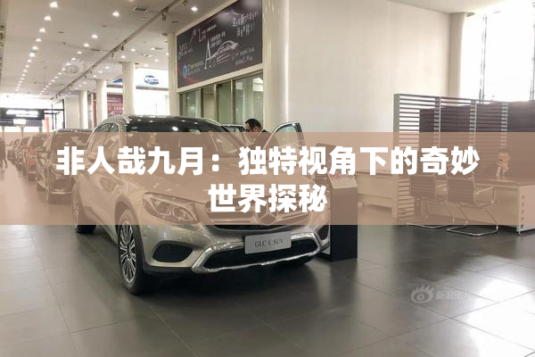 非人哉九月：独特视角下的奇妙世界探秘