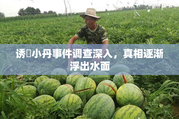 诱奷小丹事件调查深入，真相逐渐浮出水面