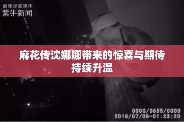麻花传沈娜娜带来的惊喜与期待持续升温