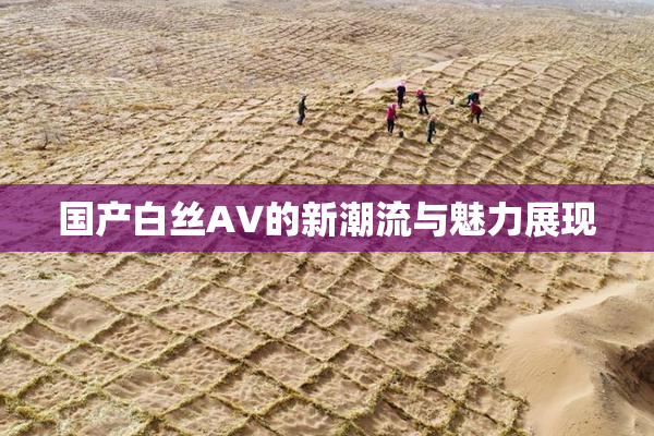 国产白丝AV的新潮流与魅力展现