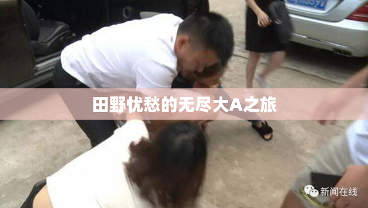 田野忧愁的无尽大A之旅