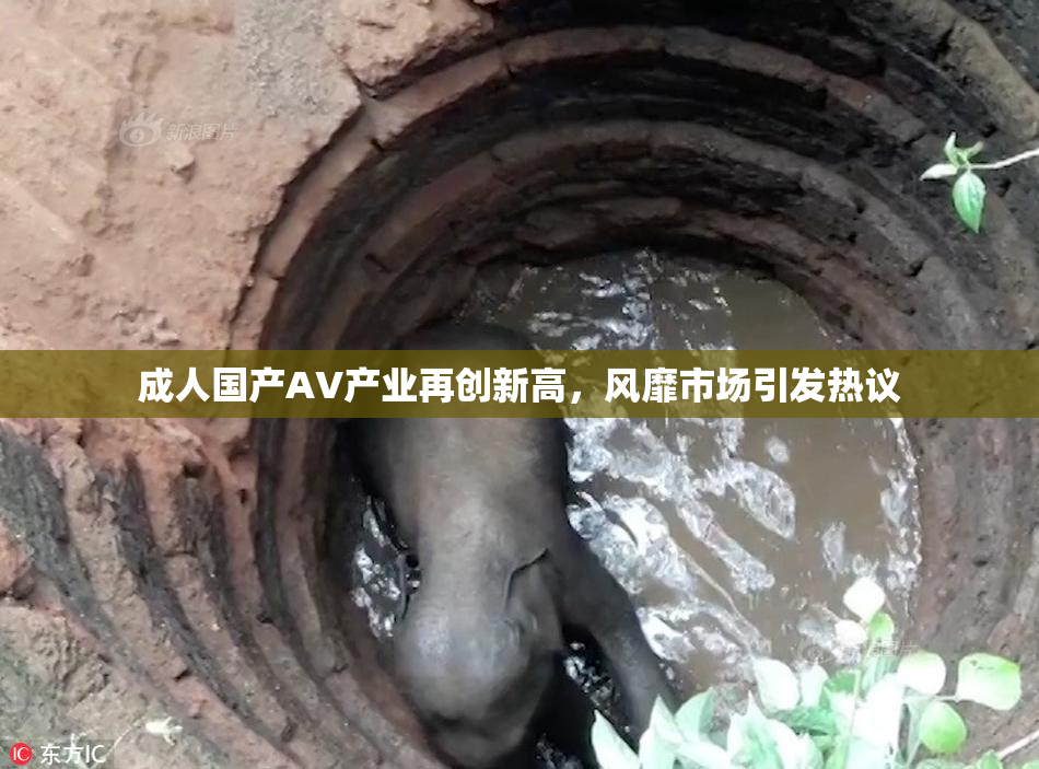 成人国产AV产业再创新高，风靡市场引发热议