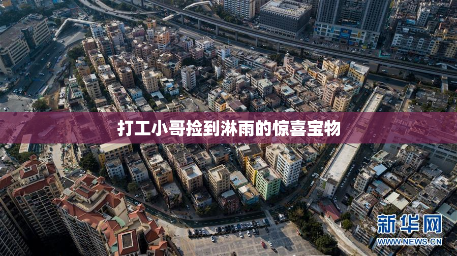 打工小哥捡到淋雨的惊喜宝物