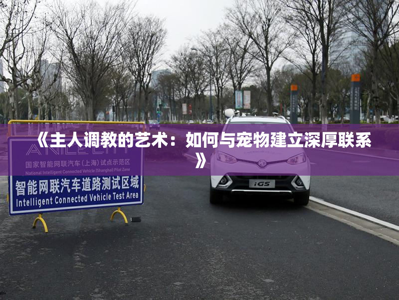 《主人调教的艺术：如何与宠物建立深厚联系》