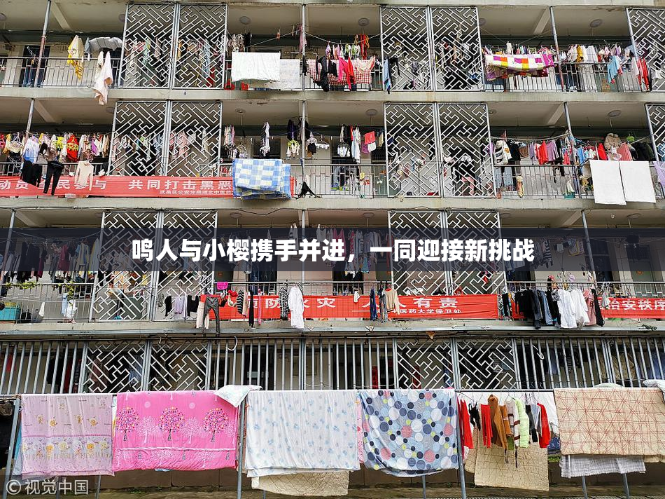 鸣人与小樱携手并进，一同迎接新挑战