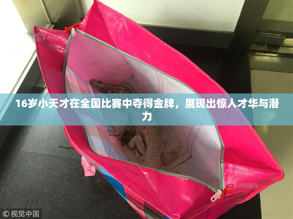 16岁小天才在全国比赛中夺得金牌，展现出惊人才华与潜力