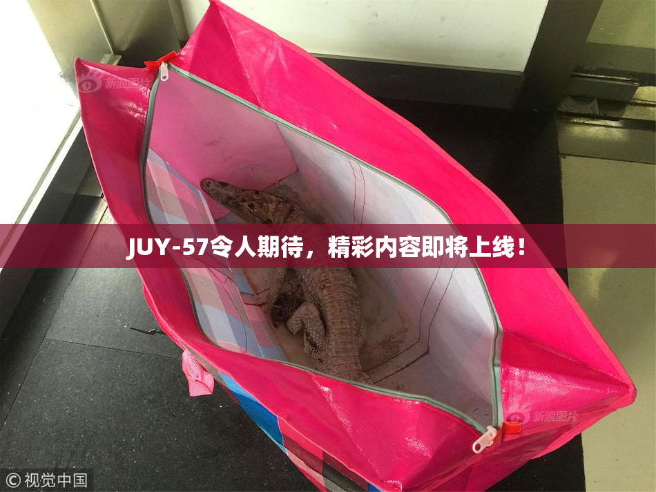 JUY-57令人期待，精彩内容即将上线！