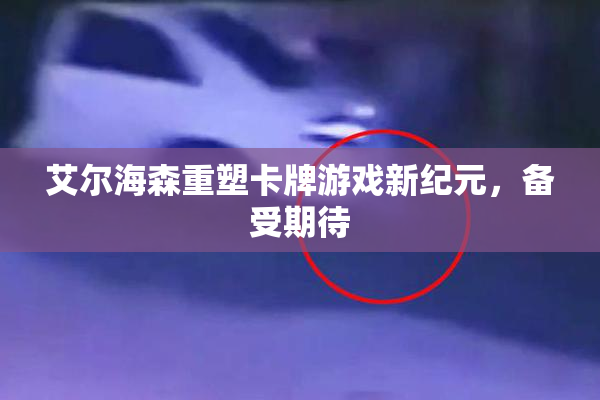 艾尔海森重塑卡牌游戏新纪元，备受期待