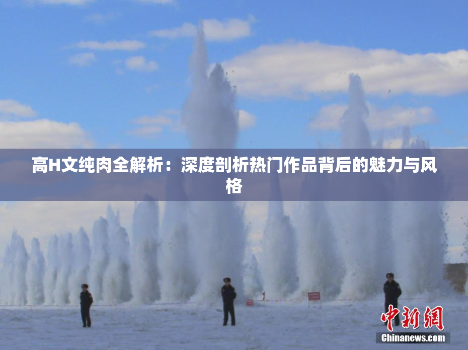 高H文纯肉全解析：深度剖析热门作品背后的魅力与风格