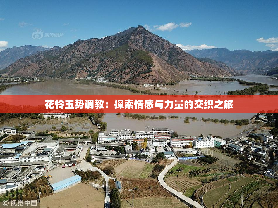 花怜玉势调教：探索情感与力量的交织之旅