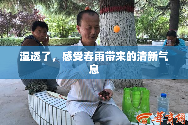湿透了，感受春雨带来的清新气息