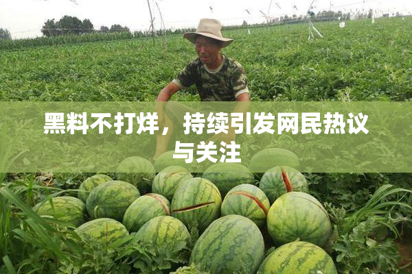 黑料不打烊，持续引发网民热议与关注