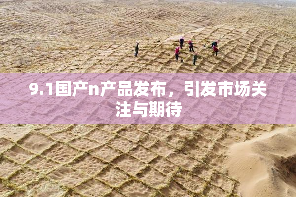 9.1国产n产品发布，引发市场关注与期待