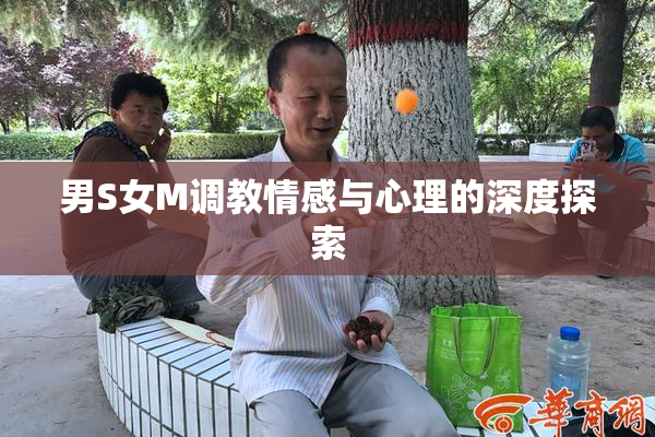 男S女M调教情感与心理的深度探索