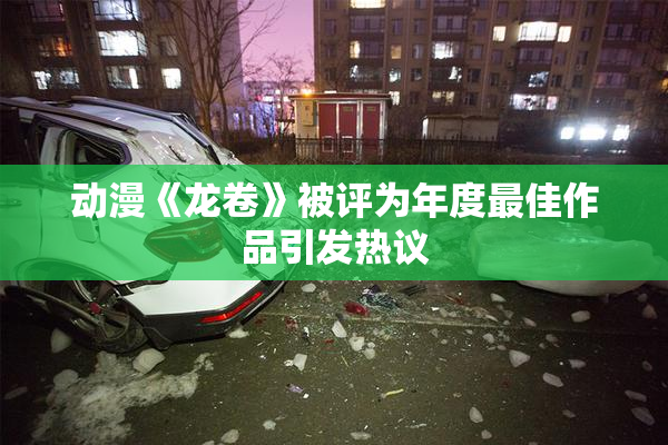 动漫《龙卷》被评为年度最佳作品引发热议